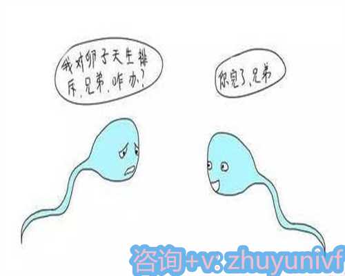 合肥医院助孕价格参考